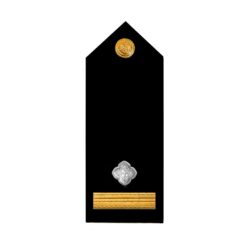 [:de]Offiziere (Epauletten)[:en]Officers (Epaulettes)[:]