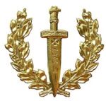 Insigne de grade (nouveau)