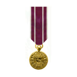 [:de]Miniatur Mitgliedsmedaille 10 Jahre[:en]Medalla de socio en miniatura 10 años[:]