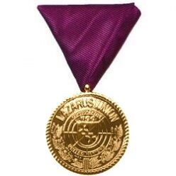 MEDALHA DA AMIZADE